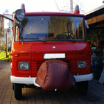 Plants: image 1 0f 15 thumb